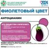 ПРОФИЛАКТИКА ЗАБОЛЕВАНИЙ И ПОДДЕРЖКА ЗДОРОВОГО ОБРАЗА ЖИЗНИ